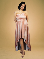 Long Princes Cut Dress