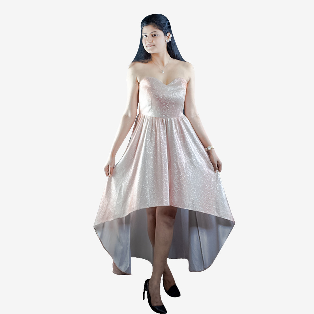 Long Princes Cut Dress