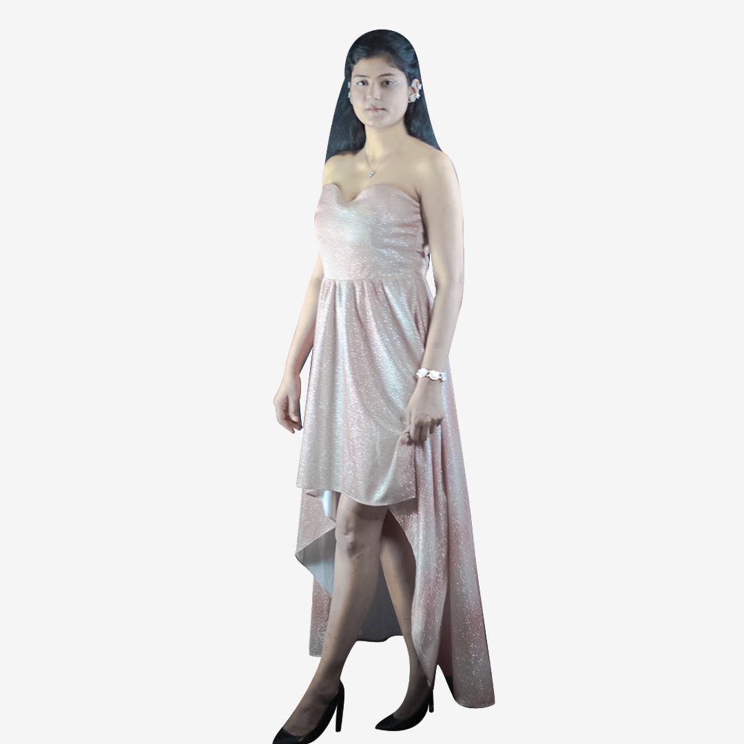 Long Princes Cut Dress